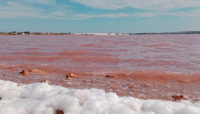 497537406_1366673855052285_8432297070703634966_n